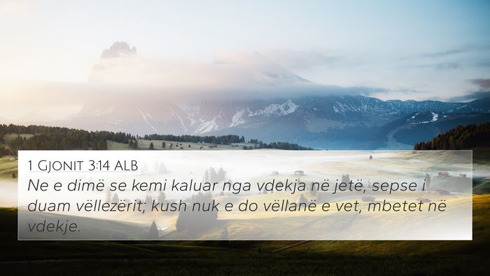 1 Gjonit 3:14 ALB Bible Verse Image