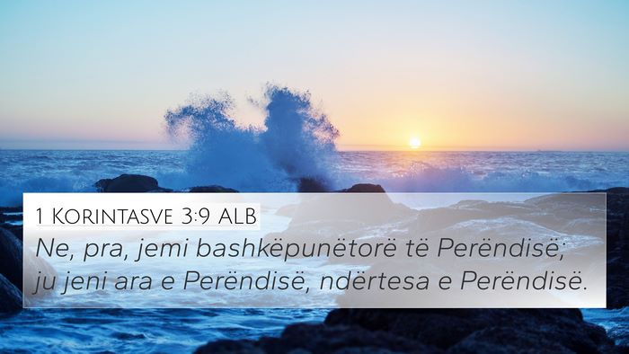 1 Korintasve 3:9 ALB Bible Verse Image