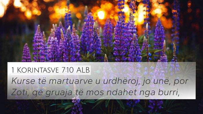 1 Korintasve 7:10 ALB Bible Verse Image