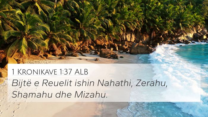 1 Kronikave 1:37 ALB Bible Verse Image