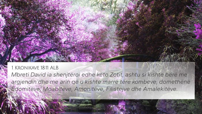 1 Kronikave 18:11 ALB Bible Verse Image