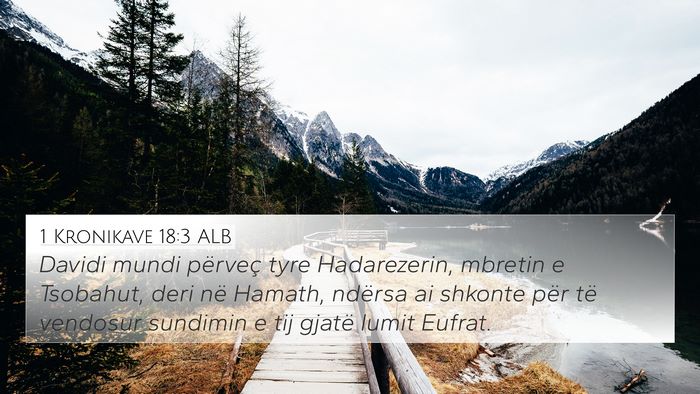 1 Kronikave 18:3 ALB Bible Verse Image