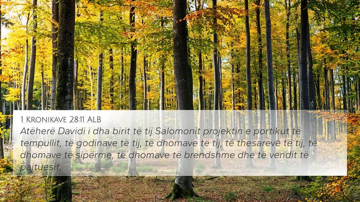1 Kronikave 28:11 ALB Bible Verse Image