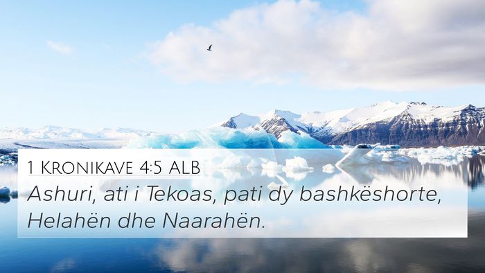 1 Kronikave 4:5 ALB Bible Verse Image