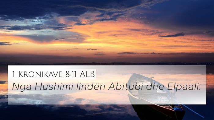 1 Kronikave 8:11 ALB 4K Wallpaper - Nga Hushimi lindën Abitubi dhe - 4K Wallpaper Bible Verse
