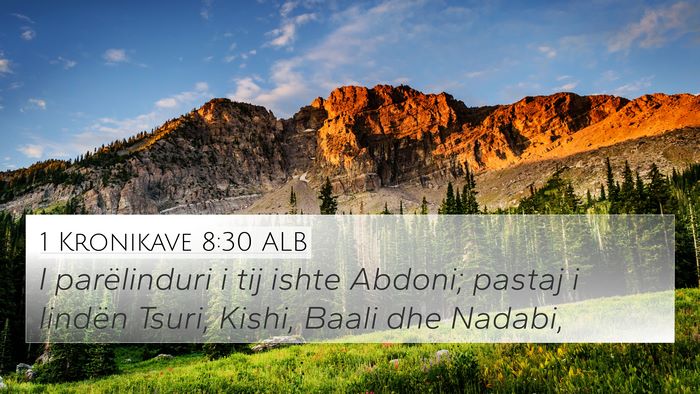 1 Kronikave 8:30 ALB 4K Wallpaper - I parëlinduri i tij ishte Abdoni; pastaj i - 4K Wallpaper Bible Verse