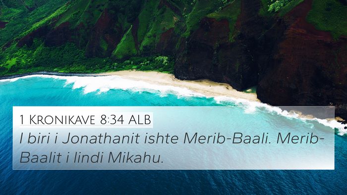 1 Kronikave 8:34 ALB Bible Verse Image