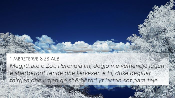 1 Mbretërve 8:28 ALB Bible Verse Image