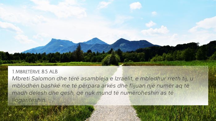 1 Mbretërve 8:5 ALB 4K Wallpaper - Mbreti Salomon dhe tërë asambleja e Izraelit, e - 4K Wallpaper Bible Verse