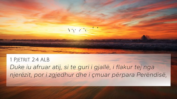 1 Pjetrit 2:4 ALB Bible Verse Image