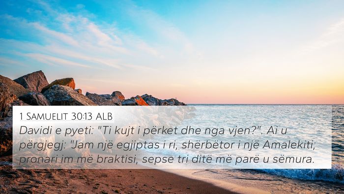 1 Samuelit 30:13 ALB Bible Verse Image