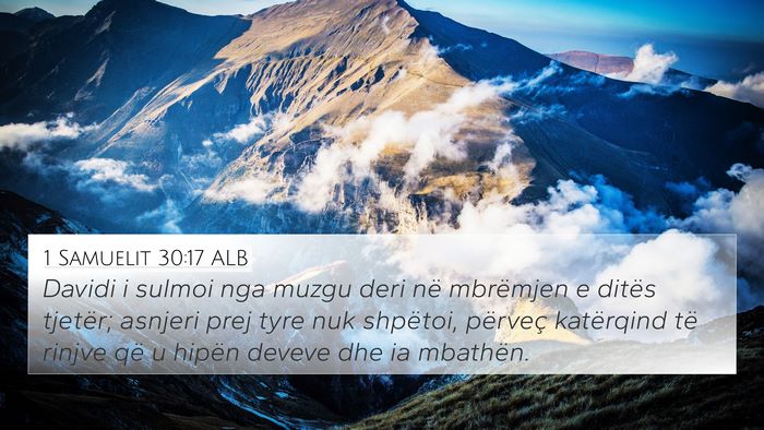 1 Samuelit 30:17 ALB Bible Verse Image