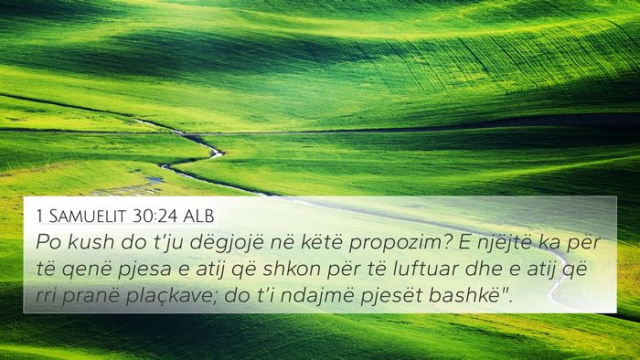 1 Samuelit 30:24 ALB Bible Verse Image