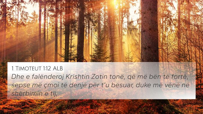 1 Timoteut 1:12 ALB Bible Verse Image