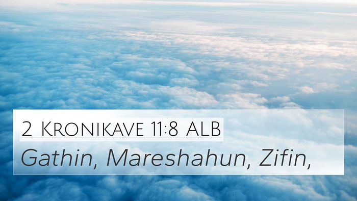 2 Kronikave 11:8 ALB Bible Verse Image