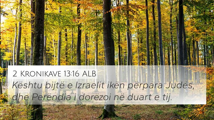 2 Kronikave 13:16 ALB Bible Verse Image