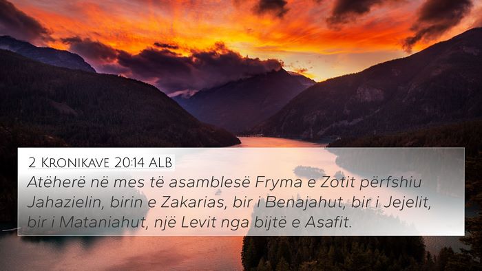 2 Kronikave 20:14 ALB Bible Verse Image
