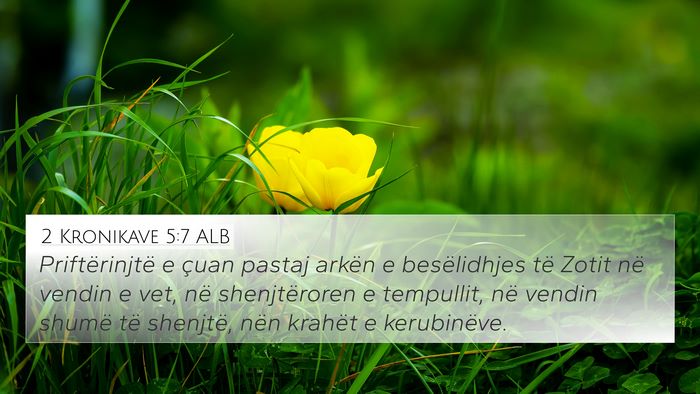 2 Kronikave 5:7 ALB Bible Verse Image