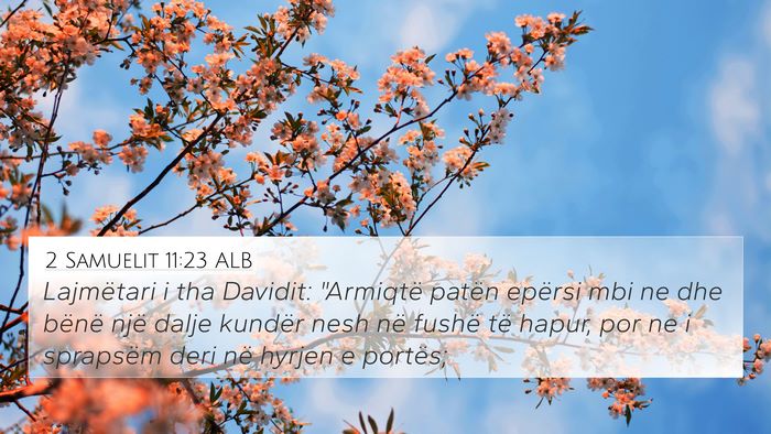 2 Samuelit 11:23 ALB 4K Wallpaper - Lajmëtari i tha Davidit: 