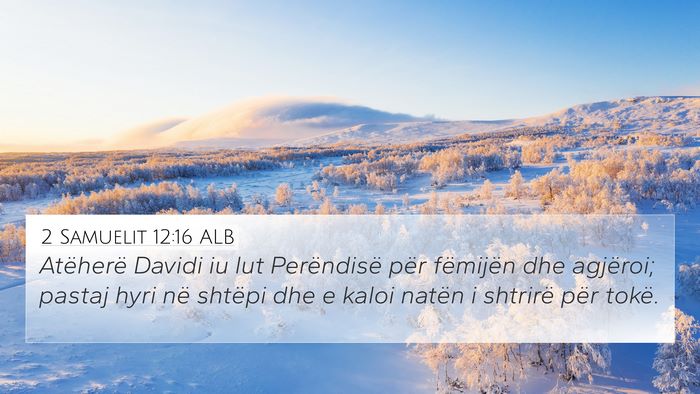 2 Samuelit 12:16 ALB Bible Verse Image
