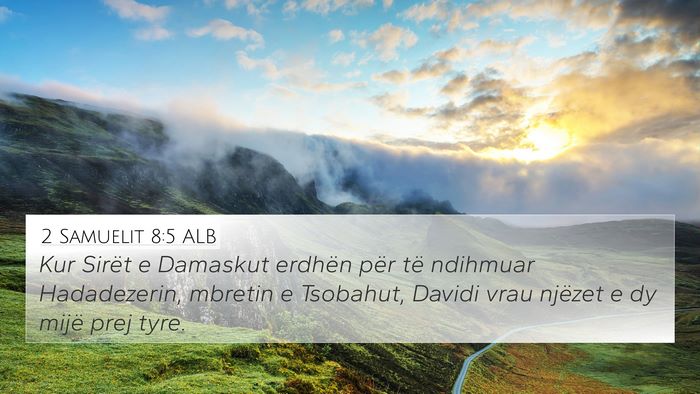 2 Samuelit 8:5 ALB Bible Verse Image