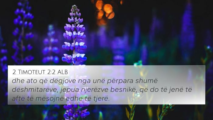 2 Timoteut 2:2 ALB Bible Verse Image