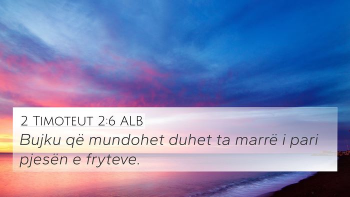 2 Timoteut 2:6 ALB Bible Verse Image