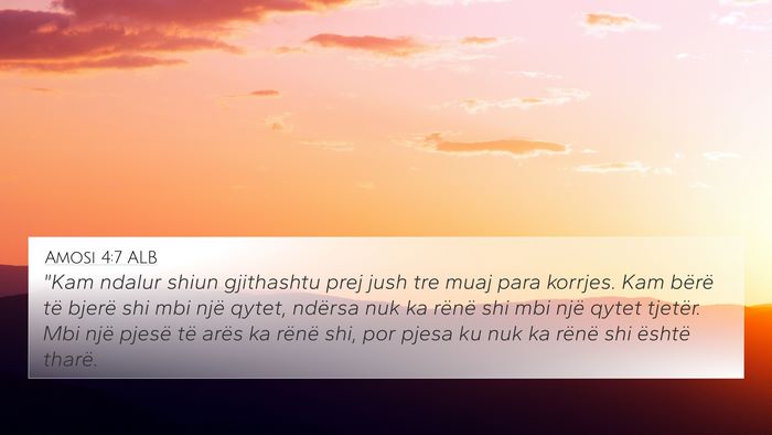 Amosi 4:7 ALB Bible Verse Image