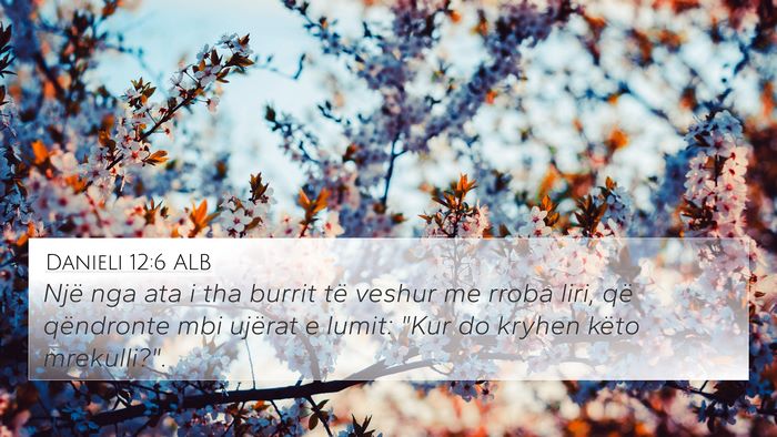 Danieli 12:6 ALB Bible Verse Image