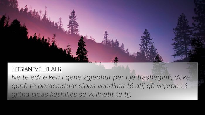 Efesianëve 1:11 ALB Bible Verse Image