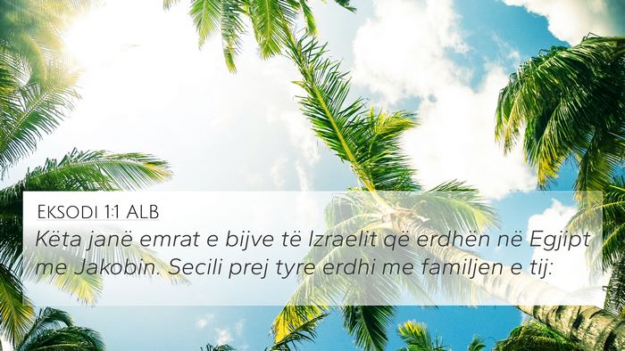 Eksodi 1:1 ALB Bible Verse Image