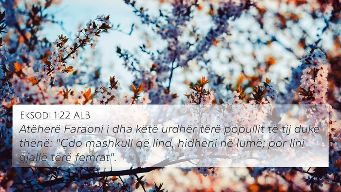 Eksodi 1:22 ALB Bible Verse Image