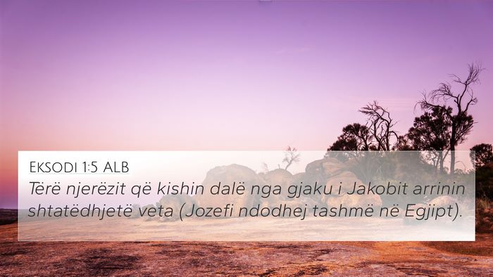Eksodi 1:5 ALB 4K Wallpaper - Tërë njerëzit që kishin dalë nga gjaku i - 4K Wallpaper Bible Verse