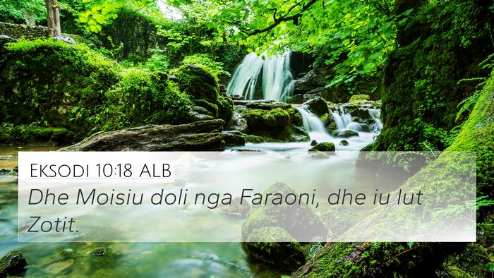 Eksodi 10:18 ALB Bible Verse Image