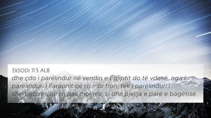 Eksodi 11:5 ALB Bible Verse Image