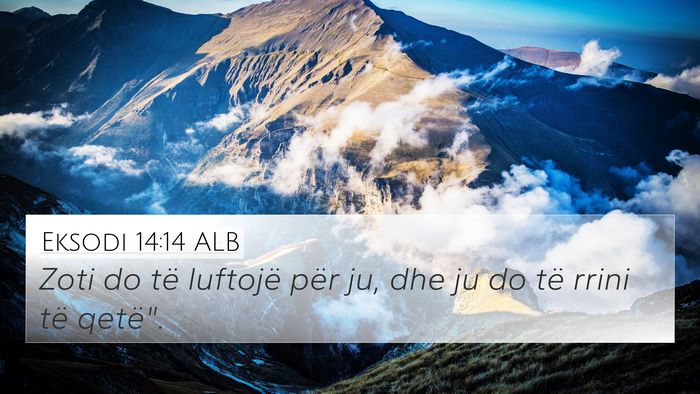 Eksodi 14:14 ALB Bible Verse Image