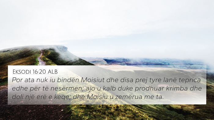 Eksodi 16:20 ALB Bible Verse Image