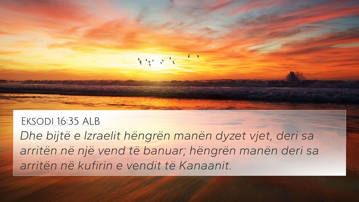 Eksodi 16:35 ALB Bible Verse Image