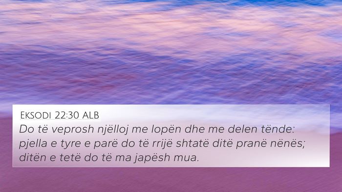 Eksodi 22:30 ALB Bible Verse Image