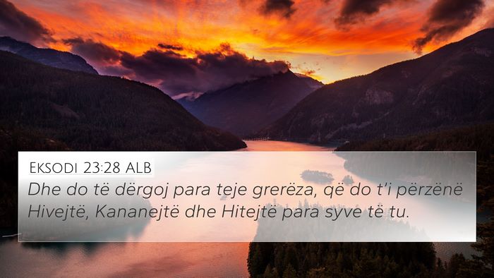 Eksodi 23:28 ALB Bible Verse Image
