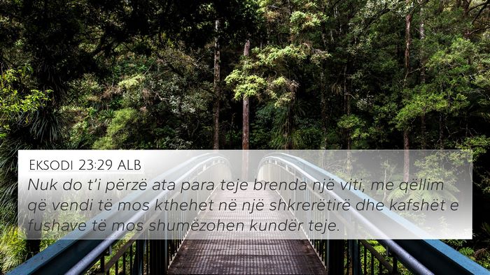Eksodi 23:29 ALB 4K Wallpaper - Nuk do t’i përzë ata para teje brenda një - 4K Wallpaper Bible Verse