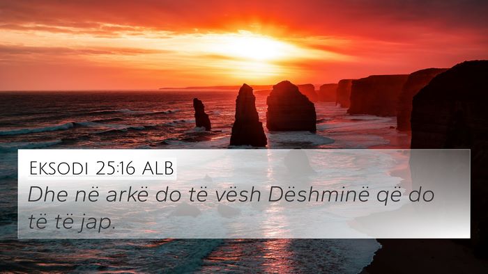 Eksodi 25:16 ALB Bible Verse Image