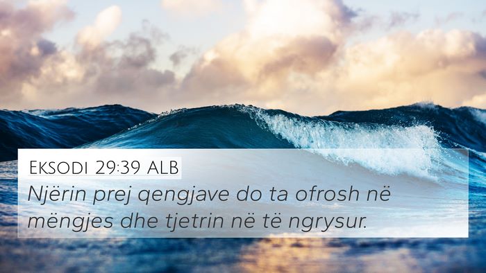 Eksodi 29:39 ALB Bible Verse Image