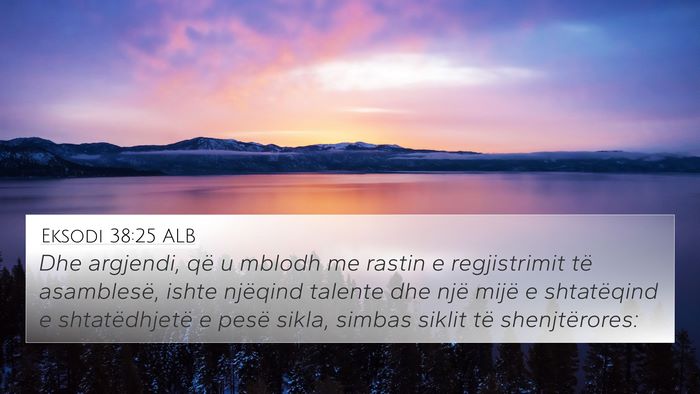 Eksodi 38:25 ALB Bible Verse Image