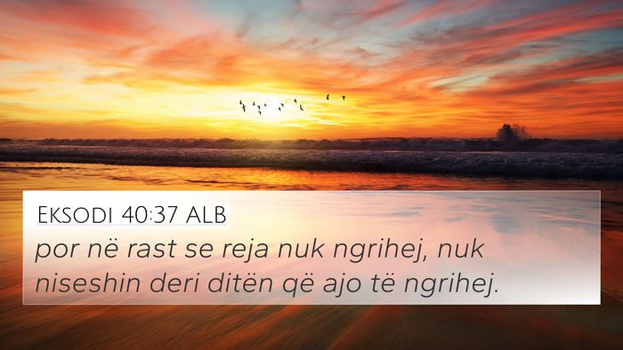Eksodi 40:37 ALB 4K Wallpaper - por në rast se reja nuk ngrihej, nuk niseshin - 4K Wallpaper Bible Verse