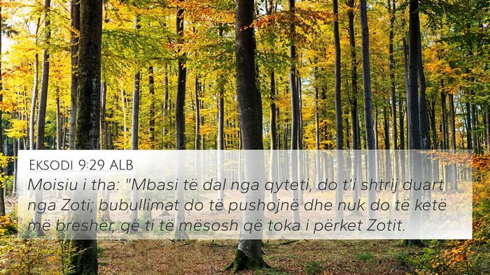 Eksodi 9:29 ALB Bible Verse Image