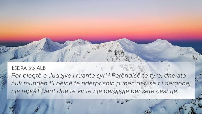 Esdra 5:5 ALB Bible Verse Image