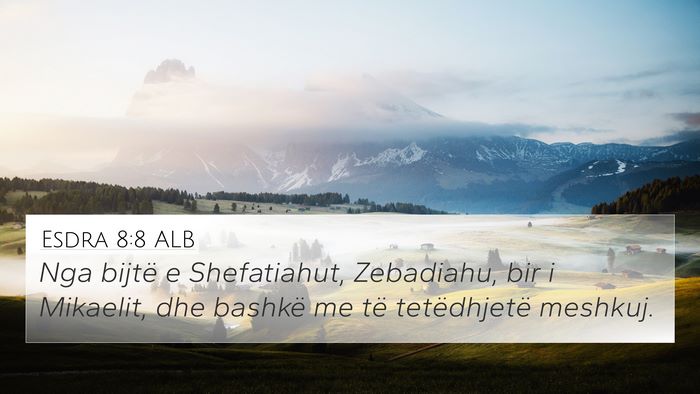 Esdra 8:8 ALB Bible Verse Image