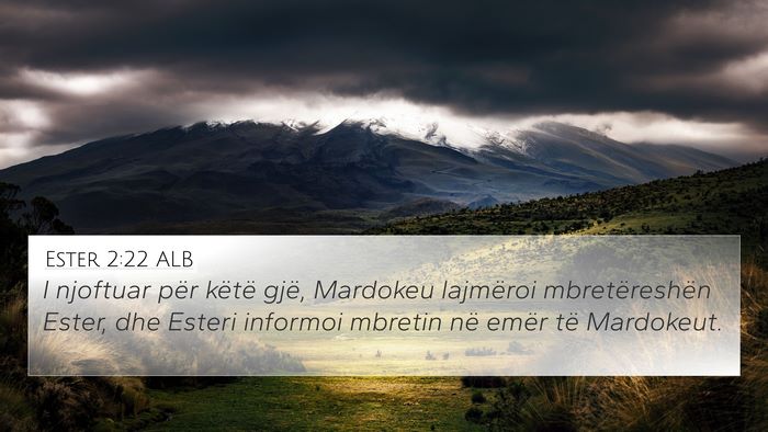 Ester 2:22 ALB 4K Wallpaper - I njoftuar për këtë gjë, Mardokeu lajmëroi - 4K Wallpaper Bible Verse