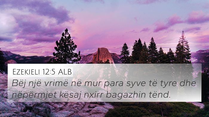 Ezekieli 12:5 ALB Bible Verse Image